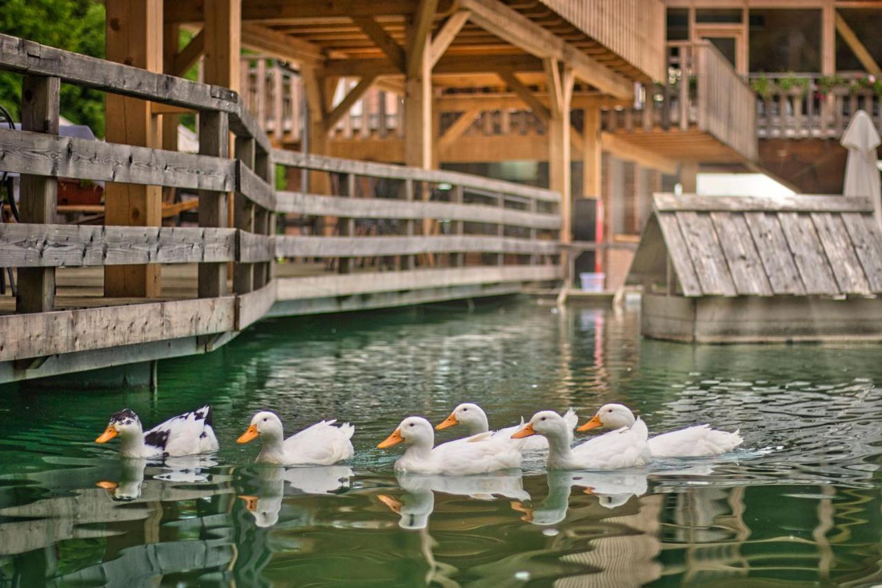 Slovenia Eco Resort オスレンドネスロヴェンスカ エクステリア 写真