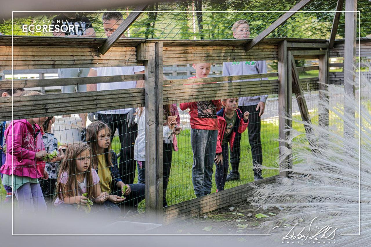 Slovenia Eco Resort オスレンドネスロヴェンスカ エクステリア 写真