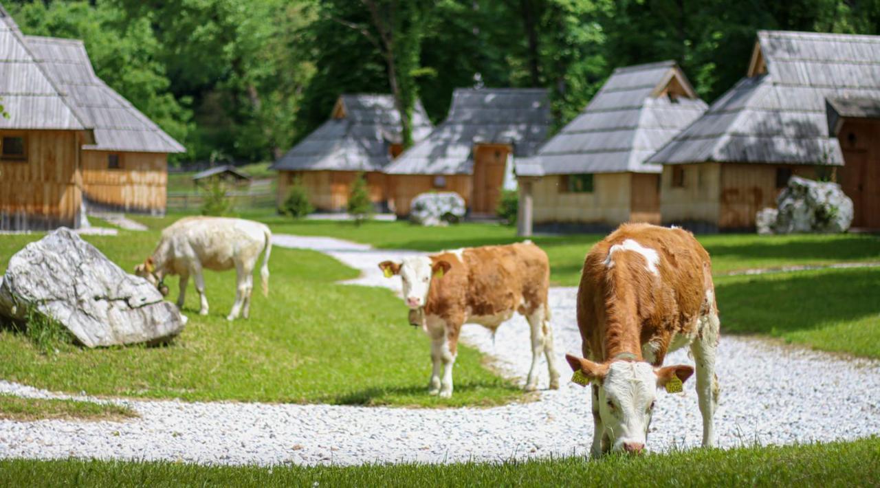 Slovenia Eco Resort オスレンドネスロヴェンスカ エクステリア 写真