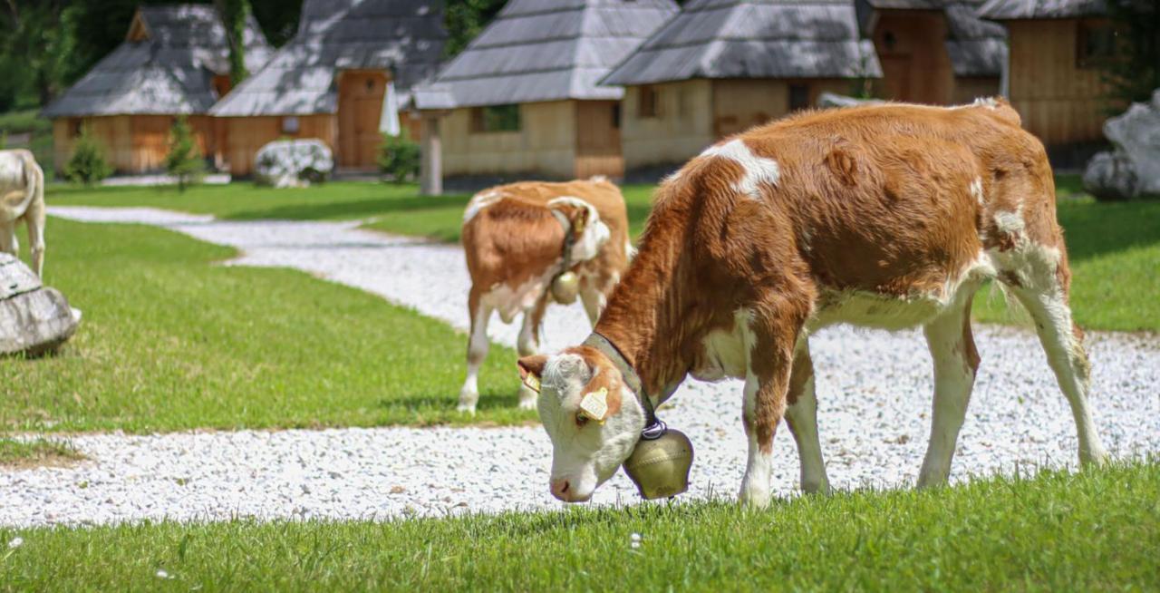 Slovenia Eco Resort オスレンドネスロヴェンスカ エクステリア 写真