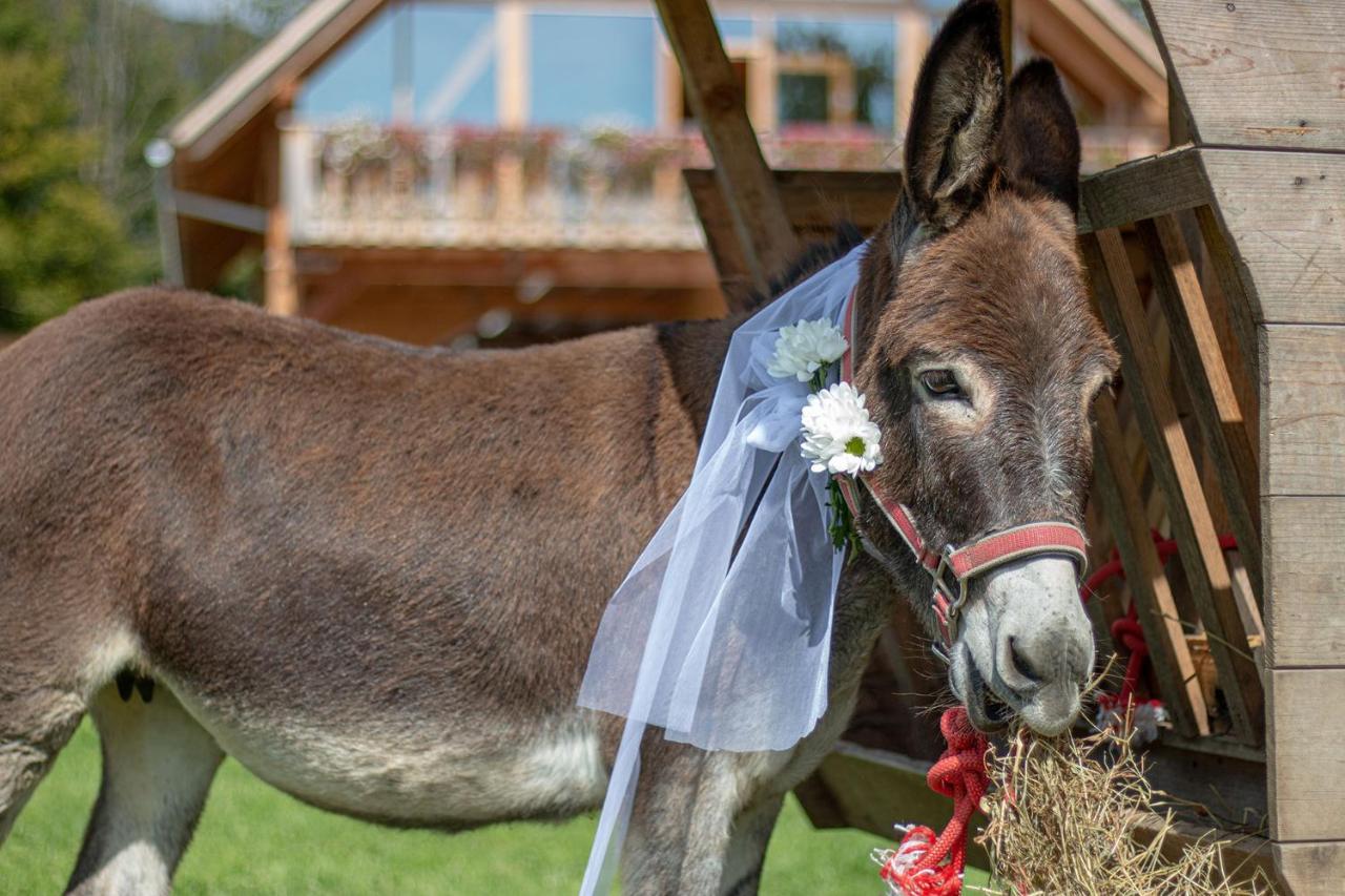 Slovenia Eco Resort オスレンドネスロヴェンスカ エクステリア 写真