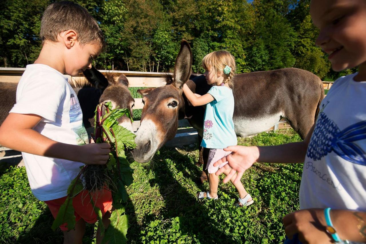 Slovenia Eco Resort オスレンドネスロヴェンスカ エクステリア 写真