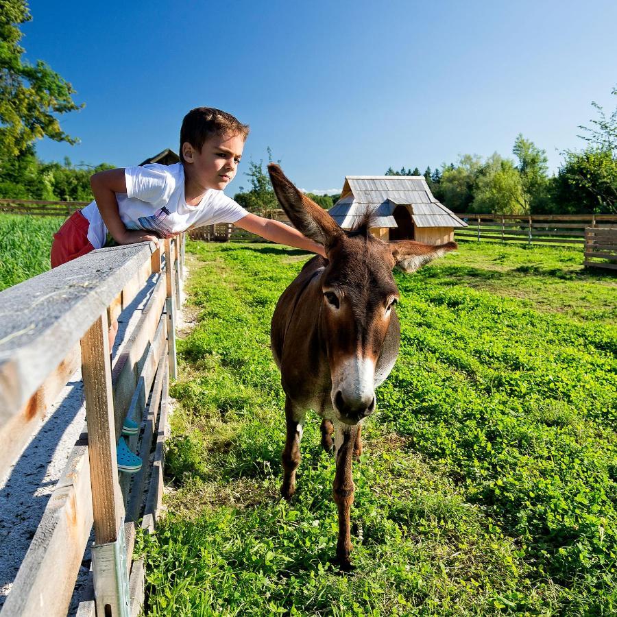 Slovenia Eco Resort オスレンドネスロヴェンスカ エクステリア 写真